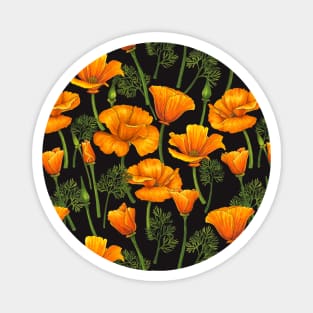 California poppies 2 Magnet